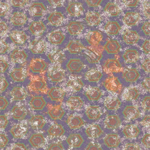 Variation 8
