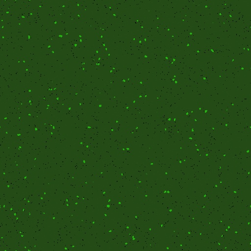 Variation 4