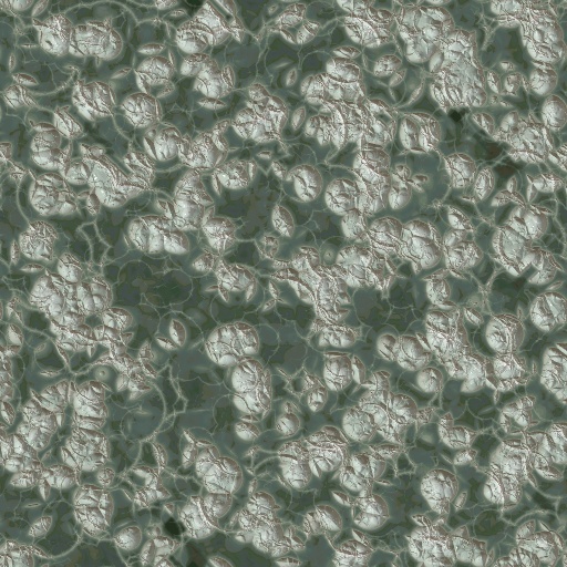 Variation 2