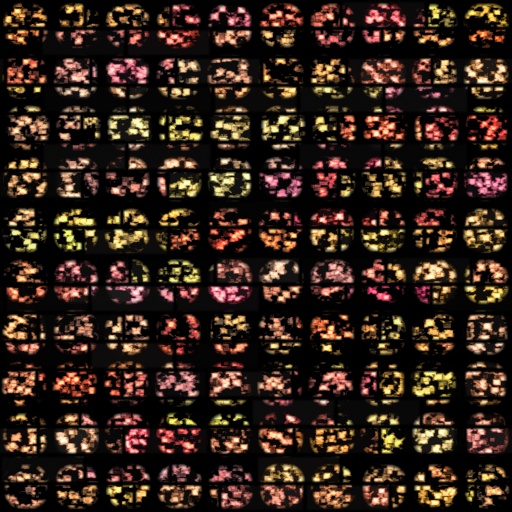Variation 8