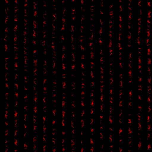 Variation 3