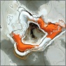 Nightmare Distorsion