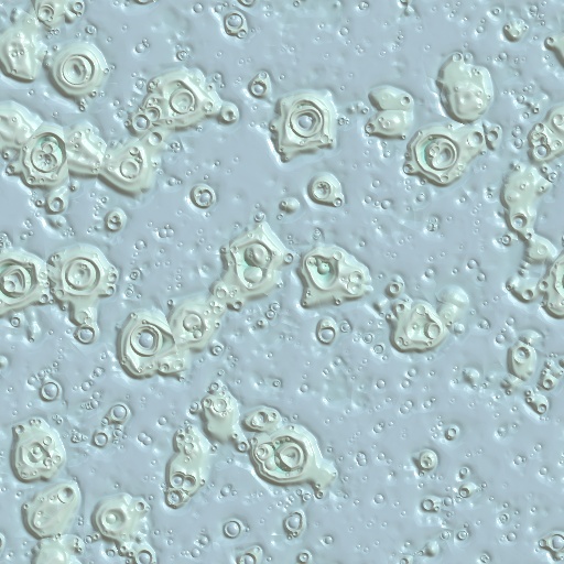 Variation 8