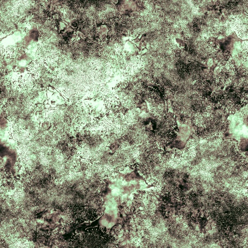 Variation 4
