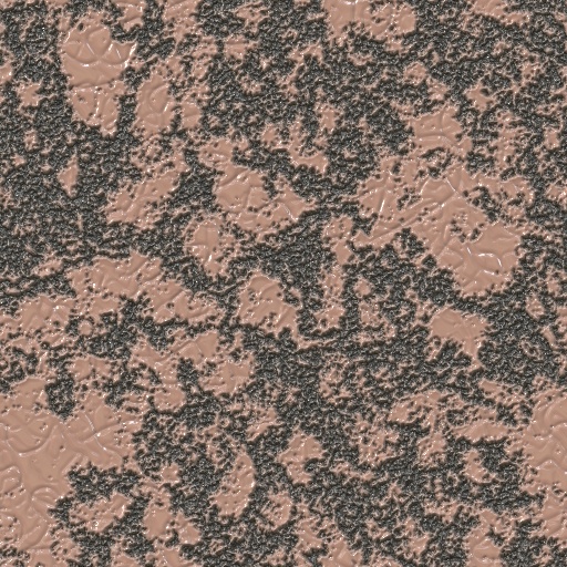 Variation 4
