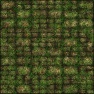 Ruins 1