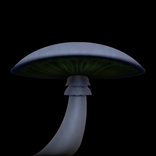 Variation 2