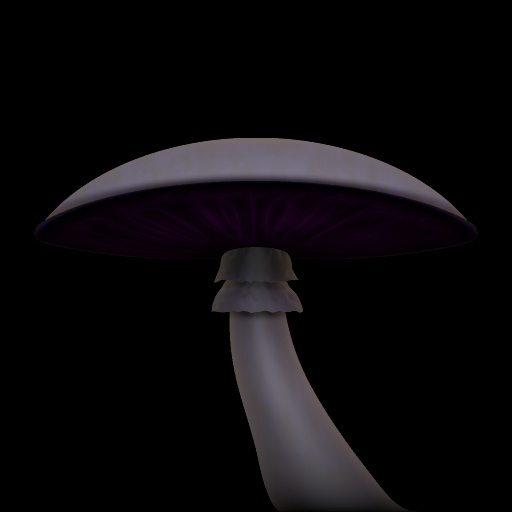 Variation 4