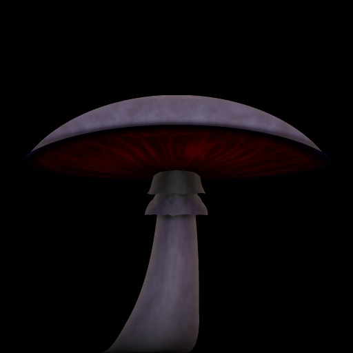 Variation 6