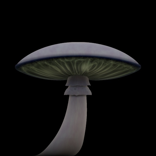 Shrooms