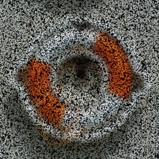 Variation 2