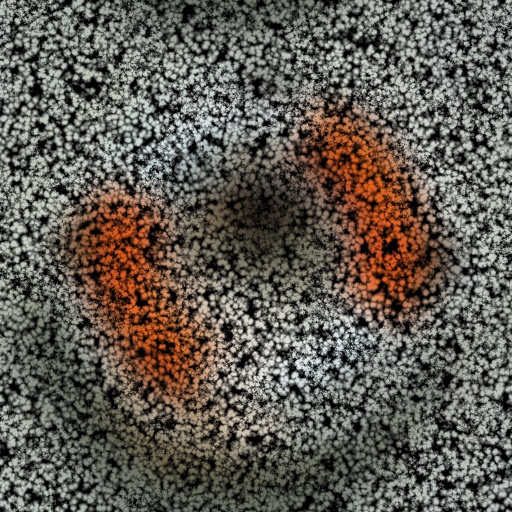 Variation 8