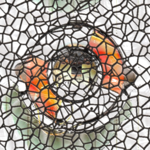 Variation 7
