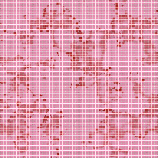 Variation 6