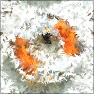 Paintillator