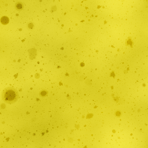 Variation 1