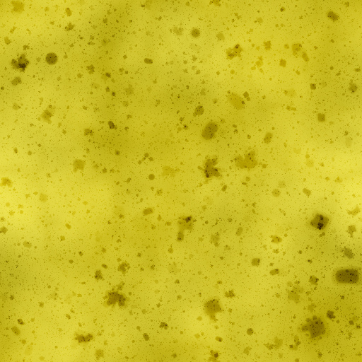 Variation 4