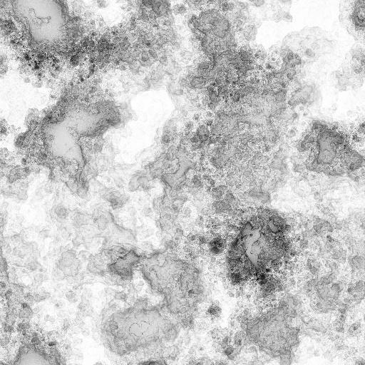 Ambient Occlusion Map