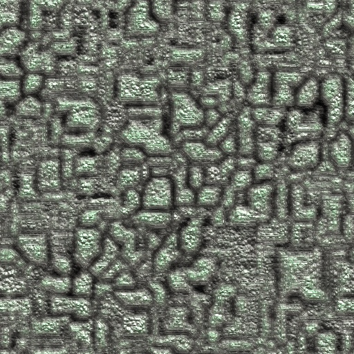 Variation 7