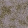 fur fever