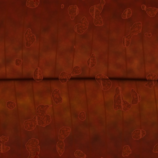 Variation 3