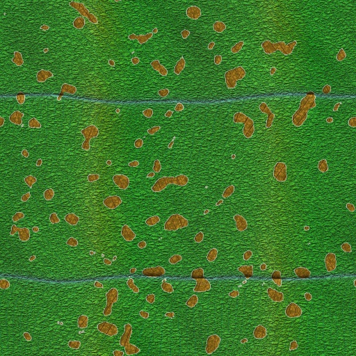 Variation 8