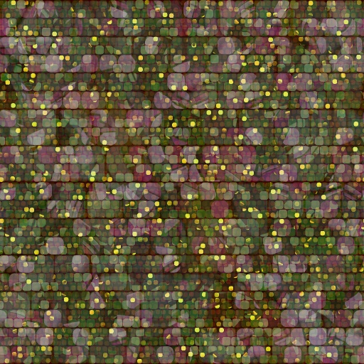 Variation 7