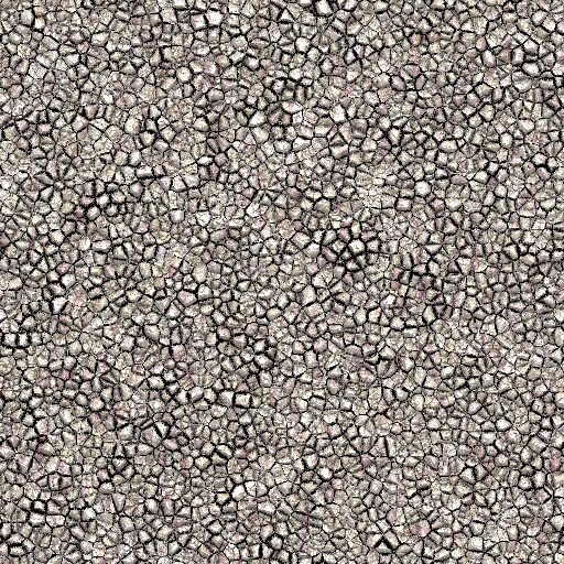 Variation 7