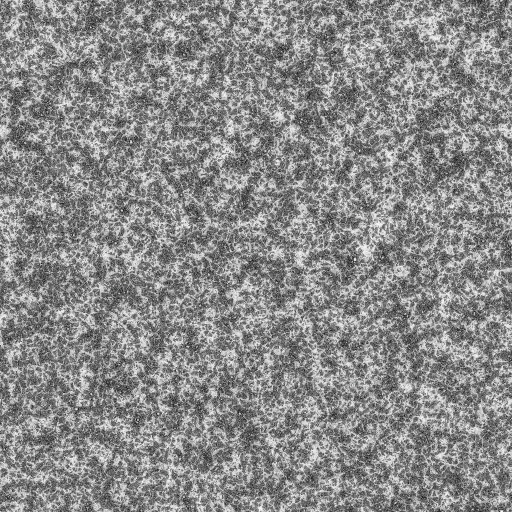 Ambient Occlusion Map
