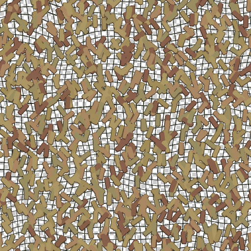 Variation 4