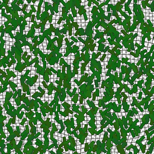 Variation 5