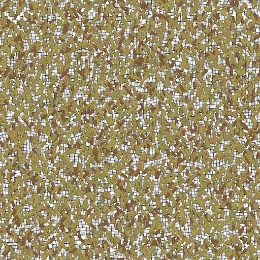 Variation 7