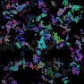 Splatter Painting