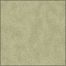 rough paper