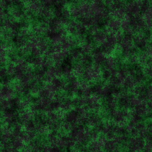 Diffuse Map
