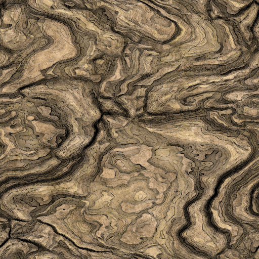 Hundred year old Oak (Texture)