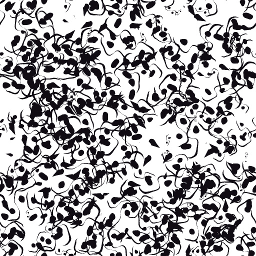 Variation 3