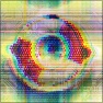 Dottovision