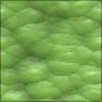 Dragon Hide