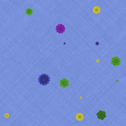 Variation 5