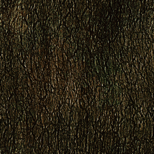 Variation 5