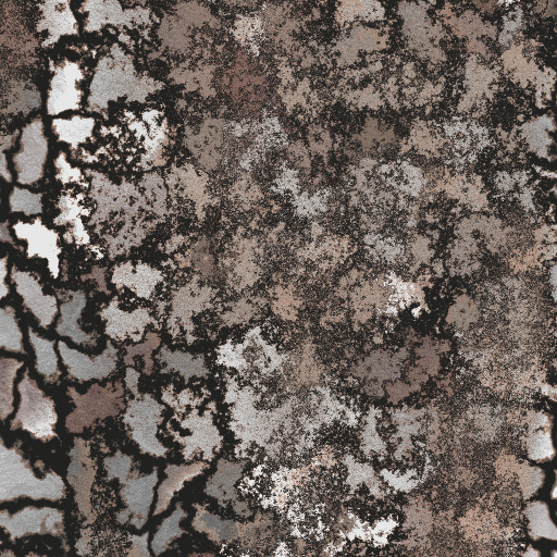 Variation 1
