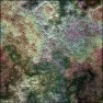 Worn Coral Rock