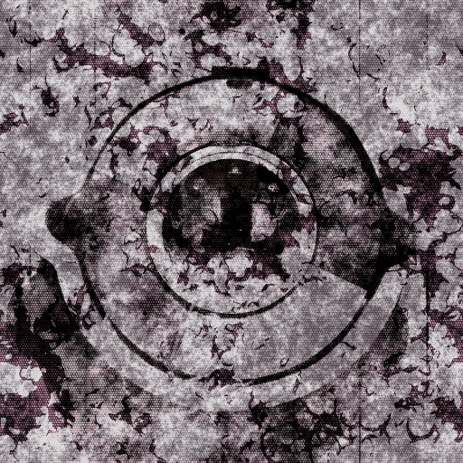 Variation 7