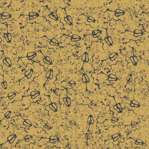 Variation 6