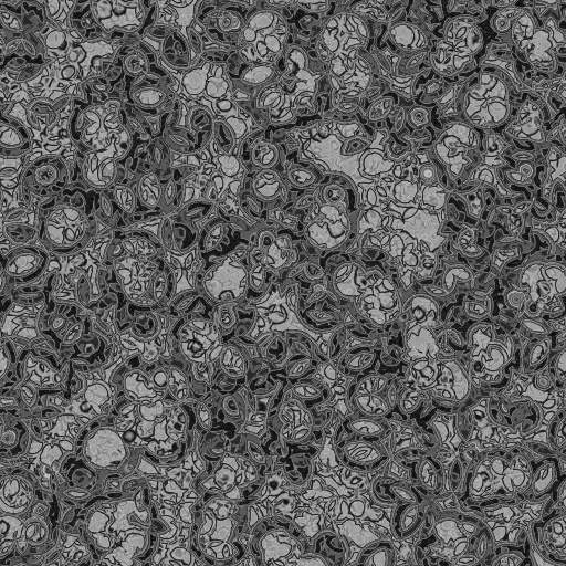 Bump Map