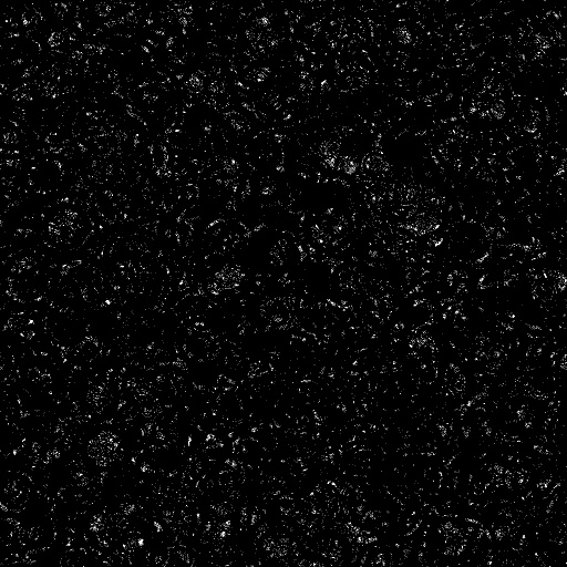 Reflective Occlusion Map