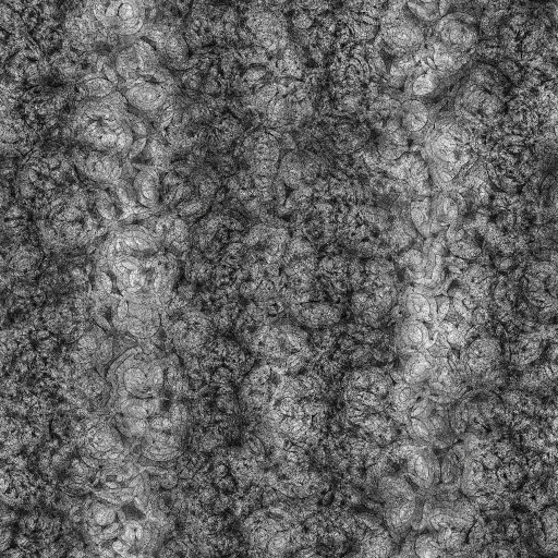 Ambient Occlusion Map