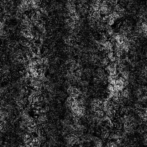 Reflective Occlusion Map