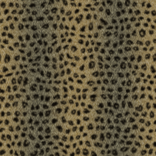 Variation 1